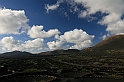 Kanary_2010 366